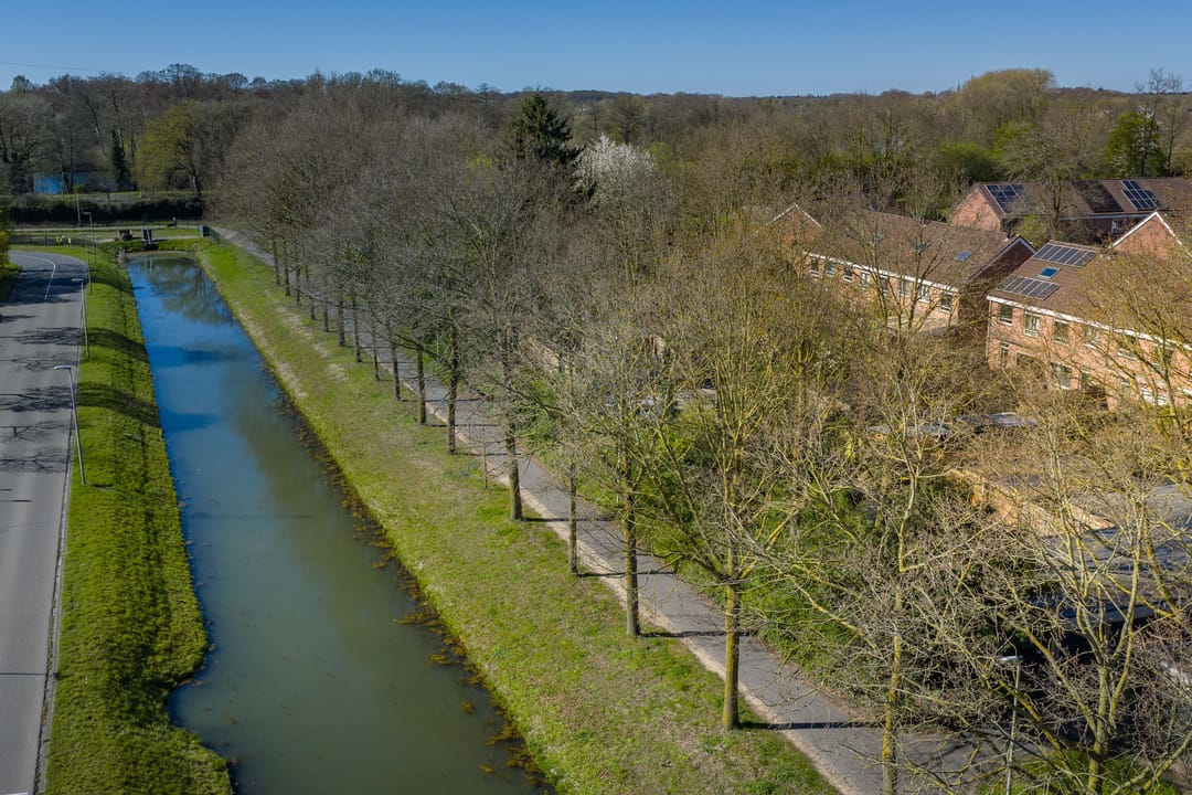 Photo 52 of Meerkoet 50