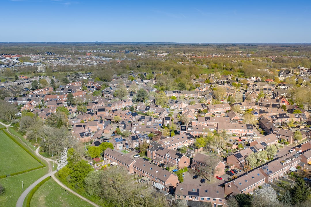 Photo 53 of Meerkoet 50