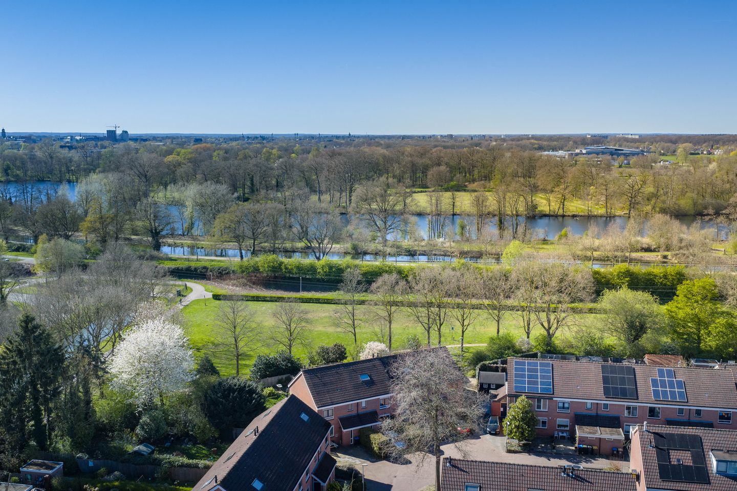 Photo 55 of Meerkoet 50