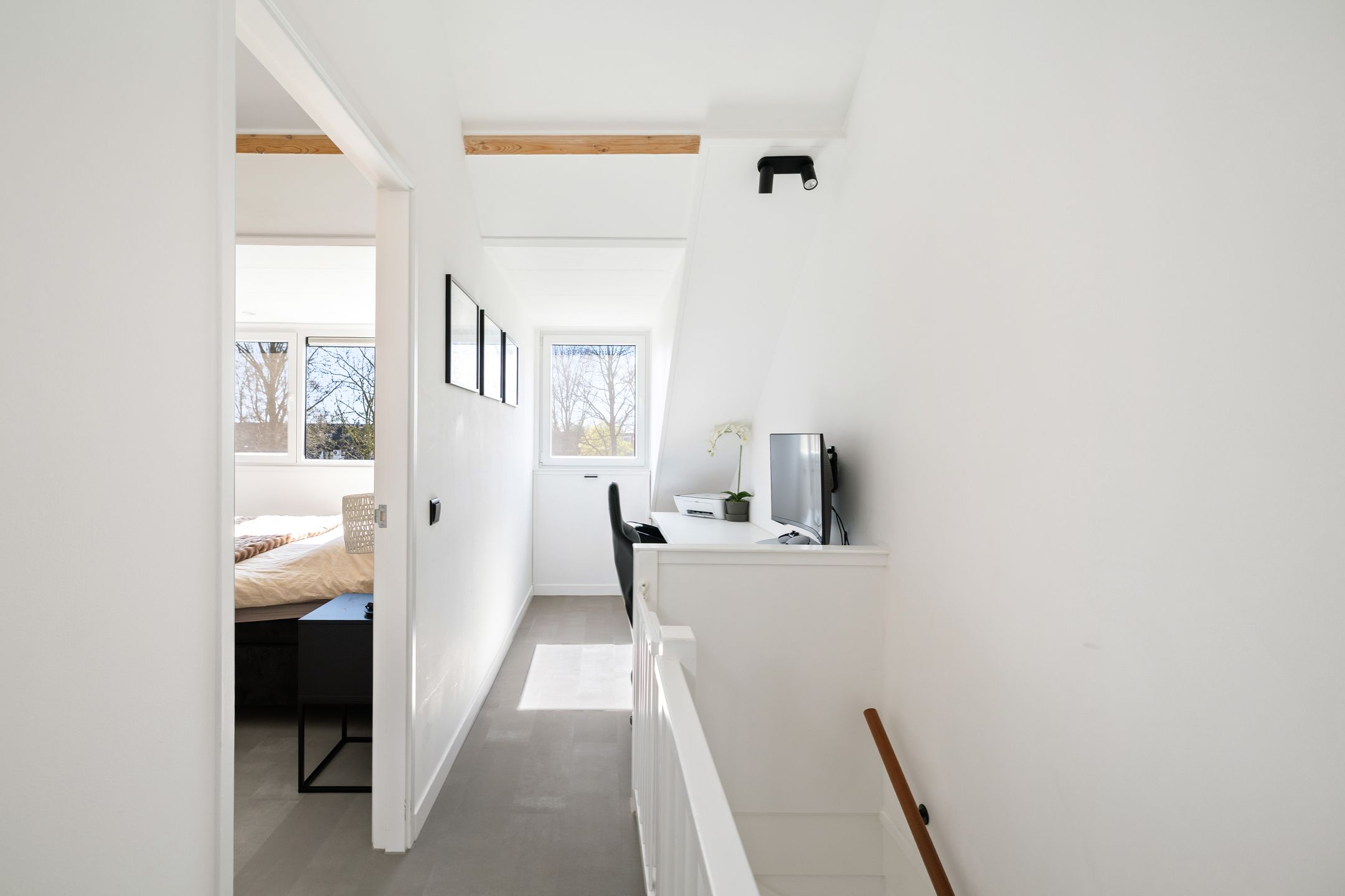 Photo 33 of Meerkoet 50