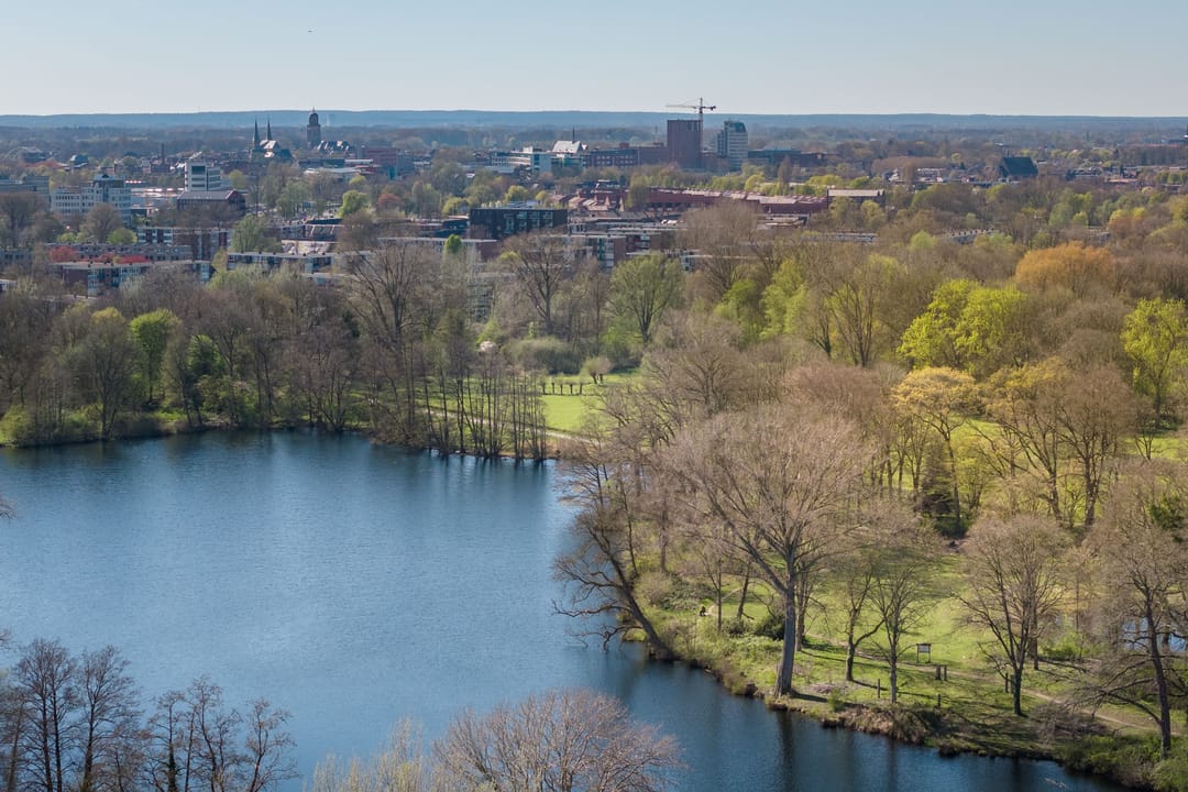 Photo 58 of Meerkoet 50