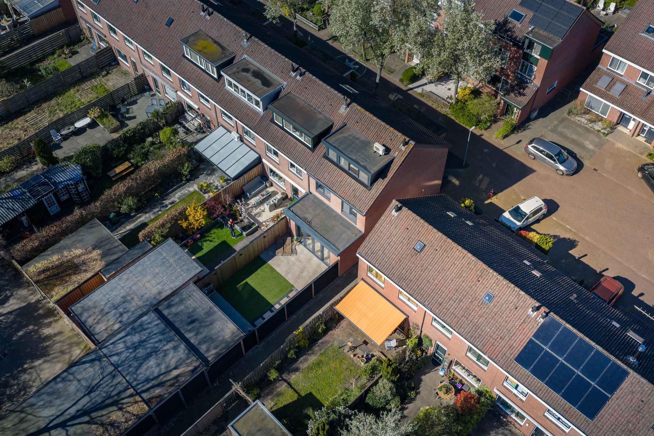 Photo 48 of Meerkoet 50