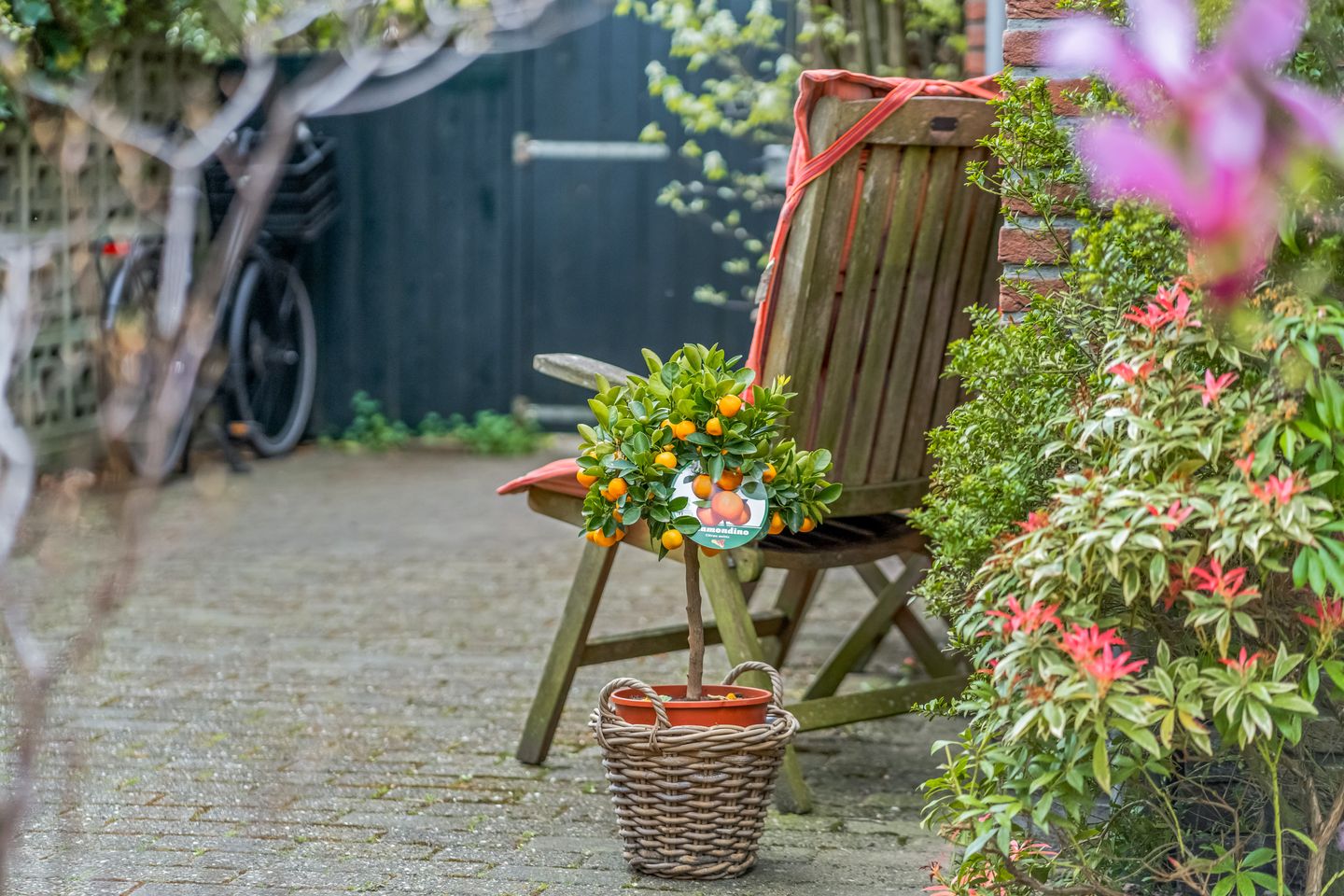 Photo 49 of Burgemeester vd Boschlaan 42