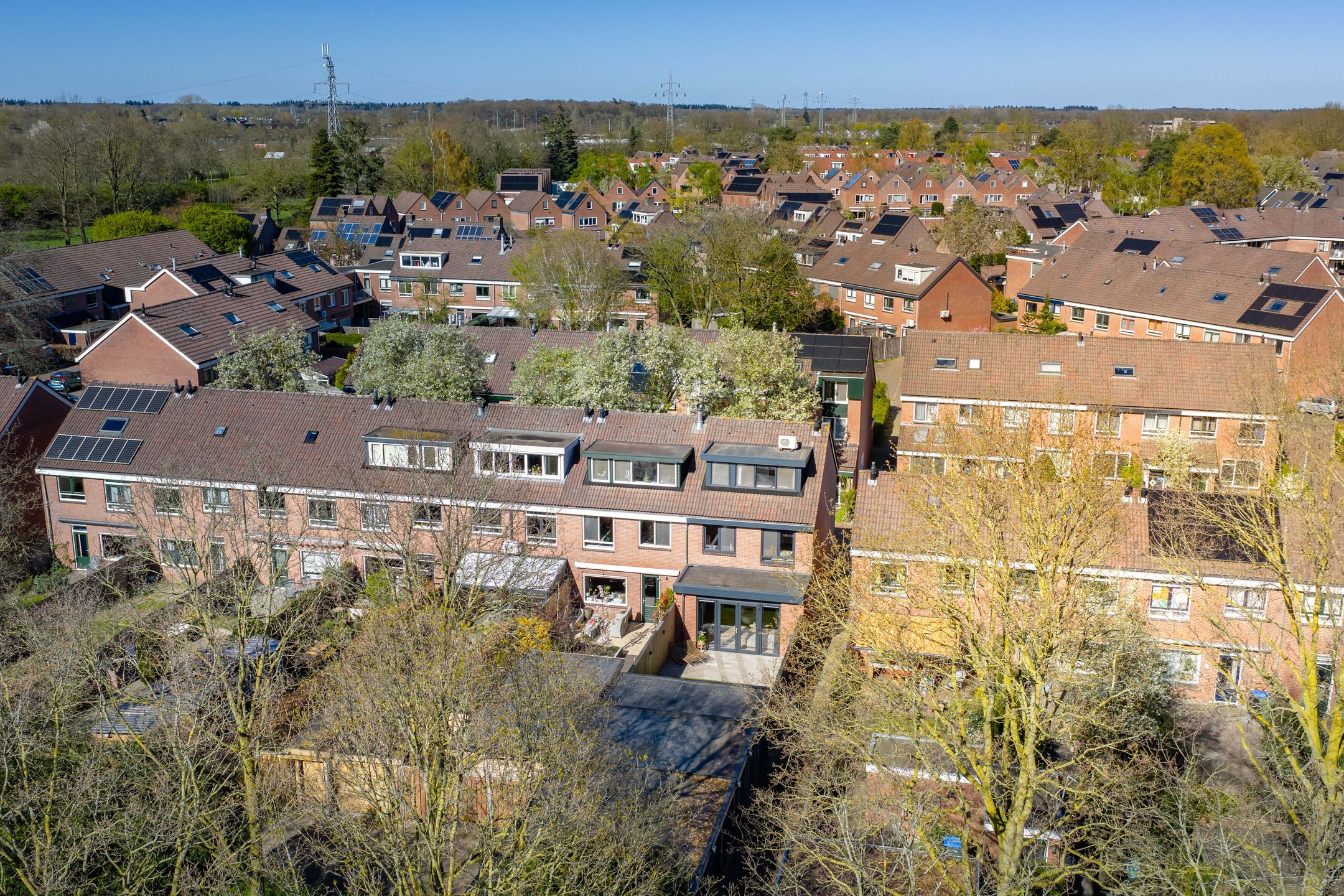 Photo 51 of Meerkoet 50