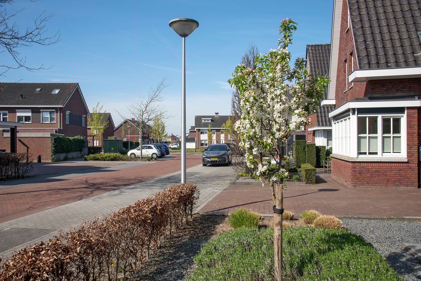 Foto 4 van Zonneroosje 28