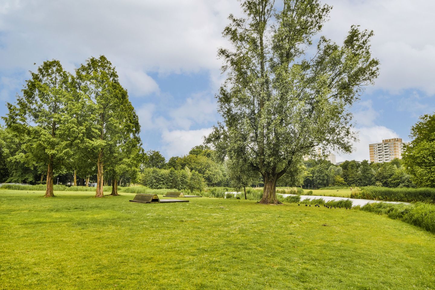 Foto 25 van Witte de Withstraat 164-3