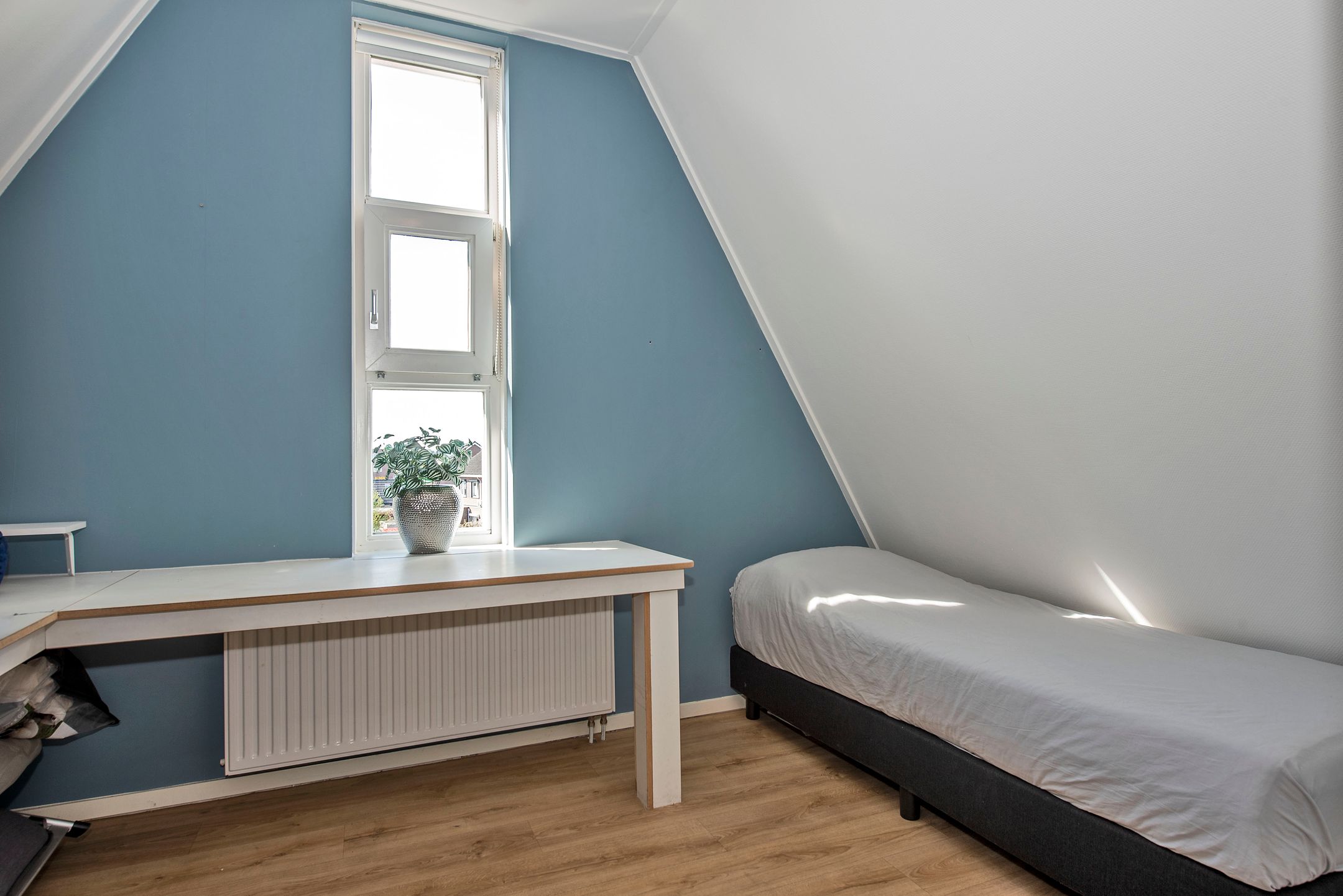 Foto 27 van Zonneroosje 28