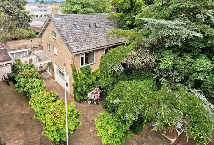 Foto 2 van Pelikaanstraat 41