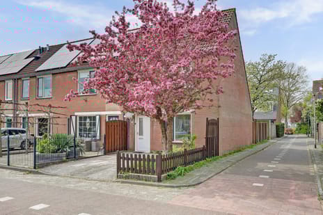 Fagotstraat thumbnail