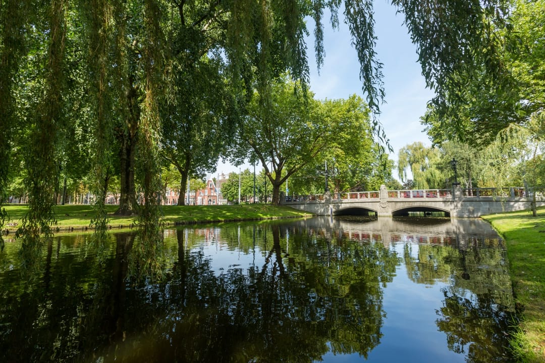 Foto 8 van Westzeedijk 503-B