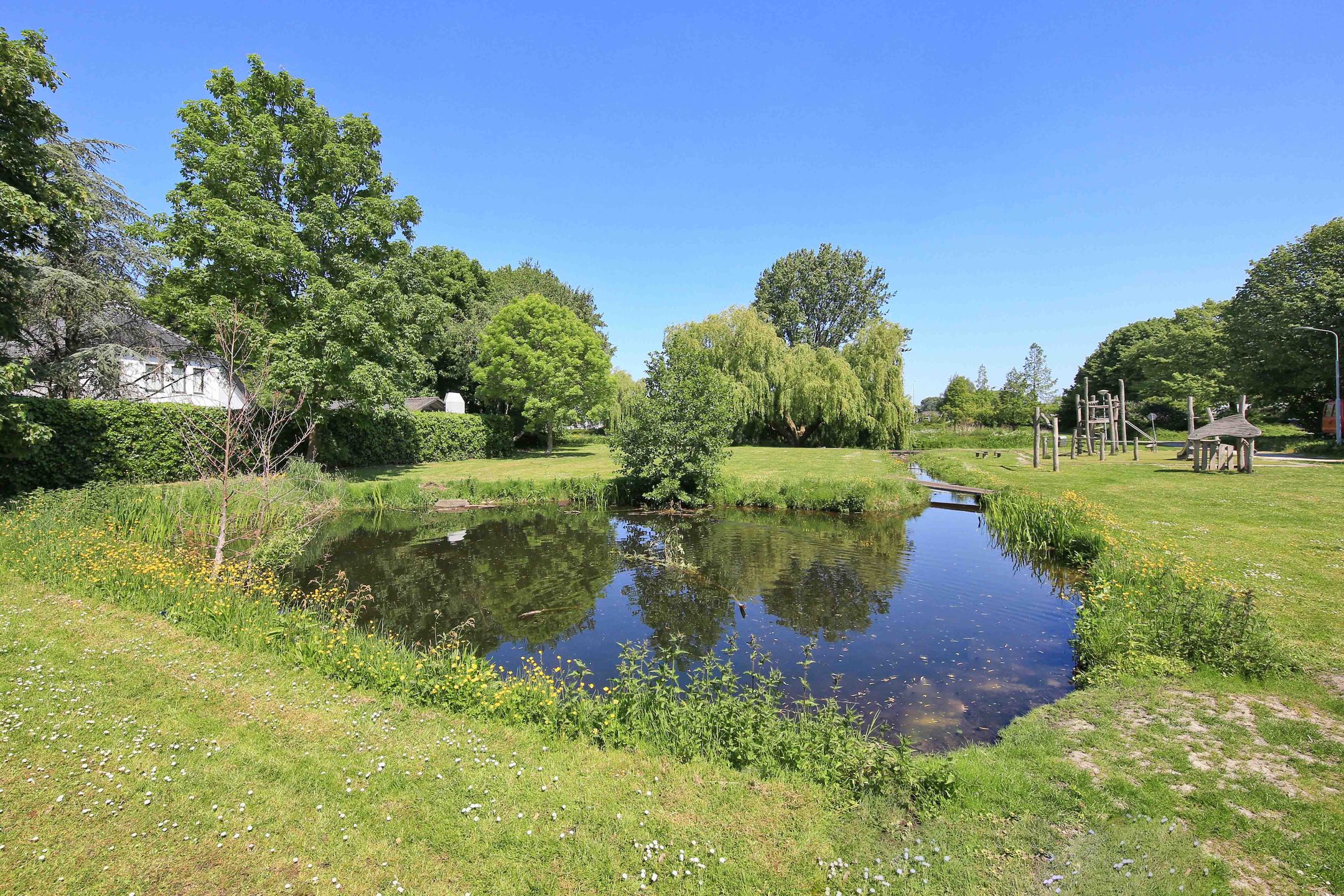 Foto 99 van Pelikaanstraat 41