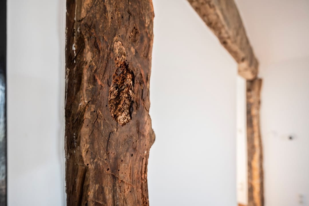 Foto 37 van Hilleshagerweg 2