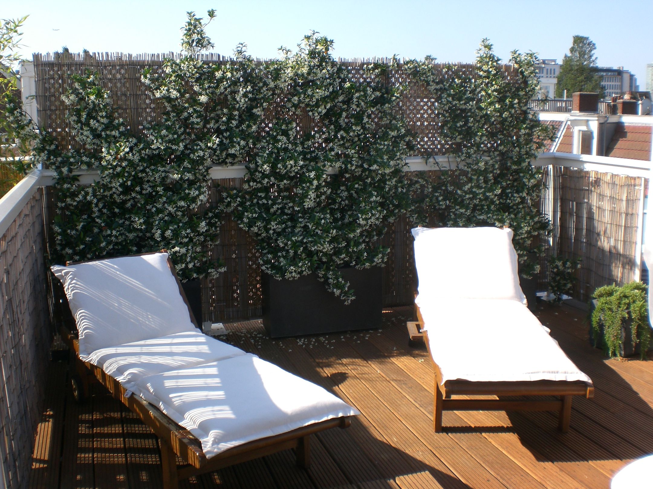 Foto 27 van Balthasar Floriszstraat 12-3