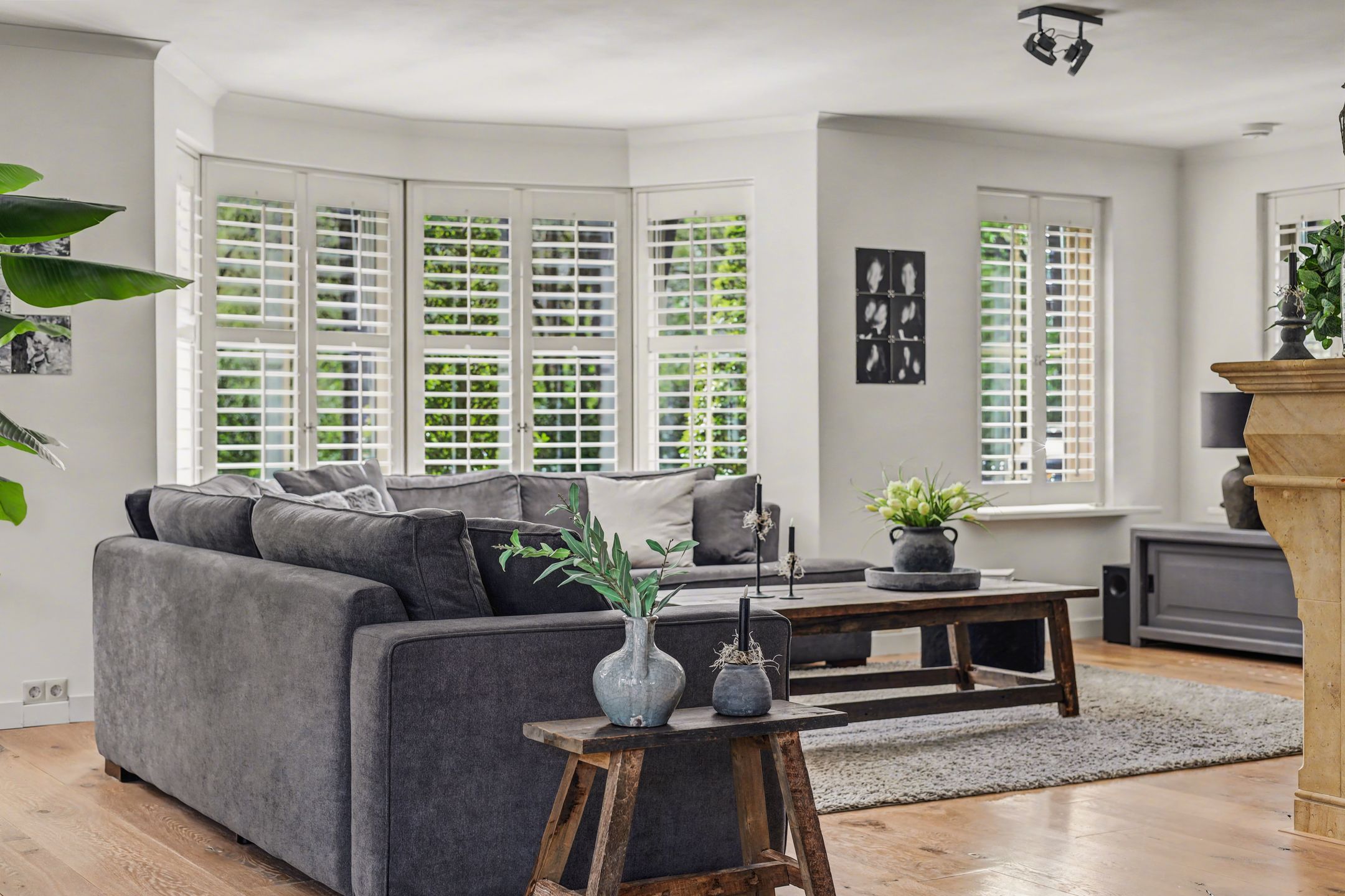 Foto 9 van Meerkoet 19