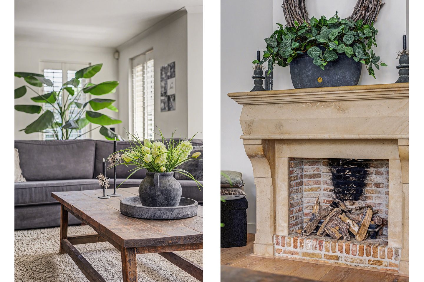 Foto 10 van Meerkoet 19