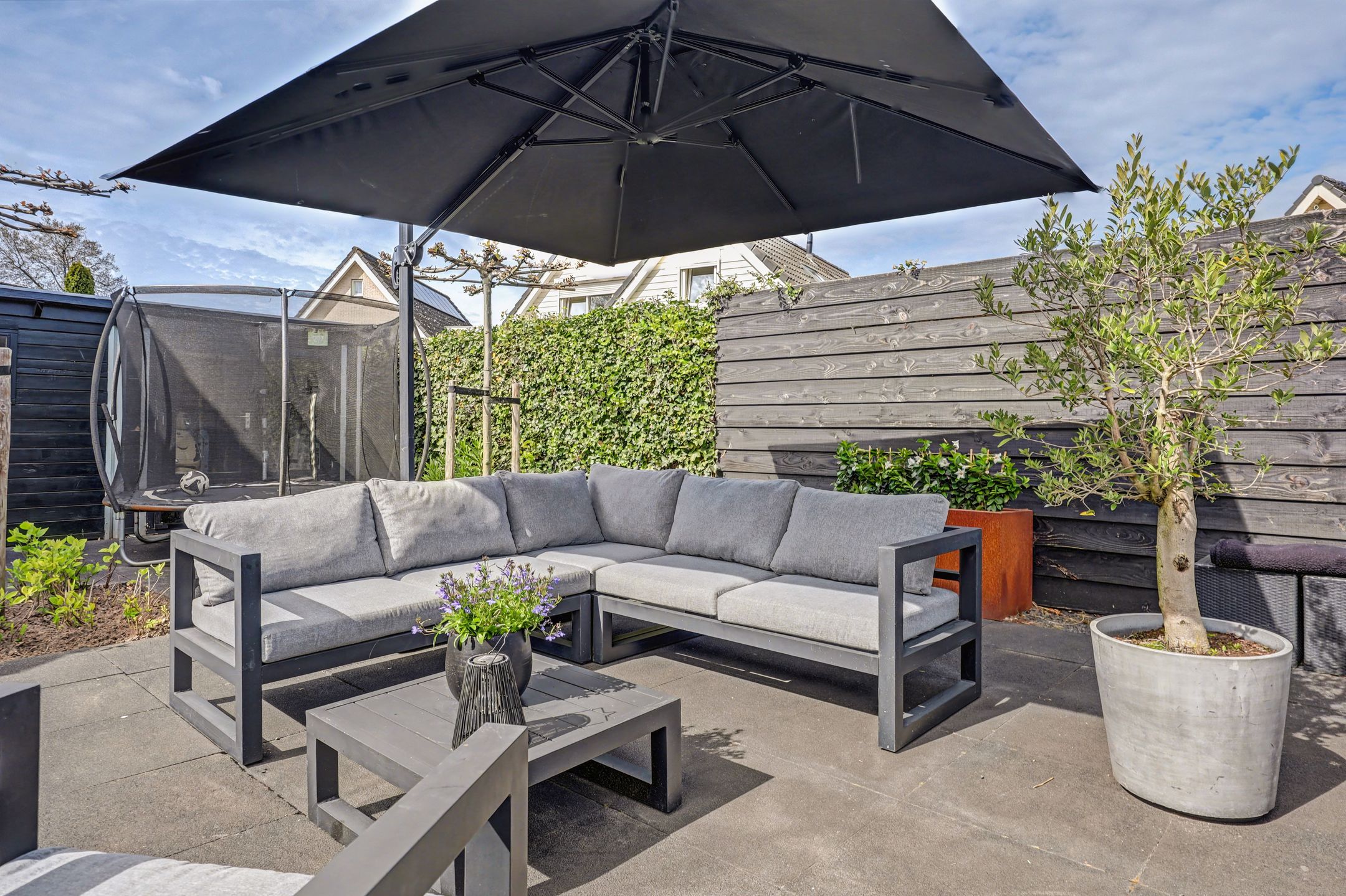 Foto 39 van Meerkoet 19