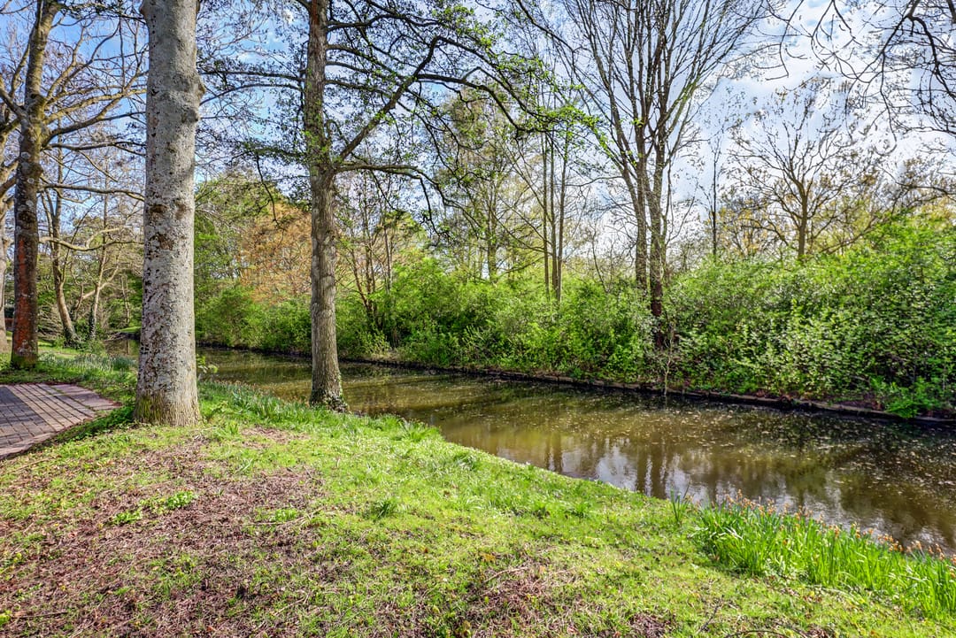 Foto 46 van Meerkoet 19