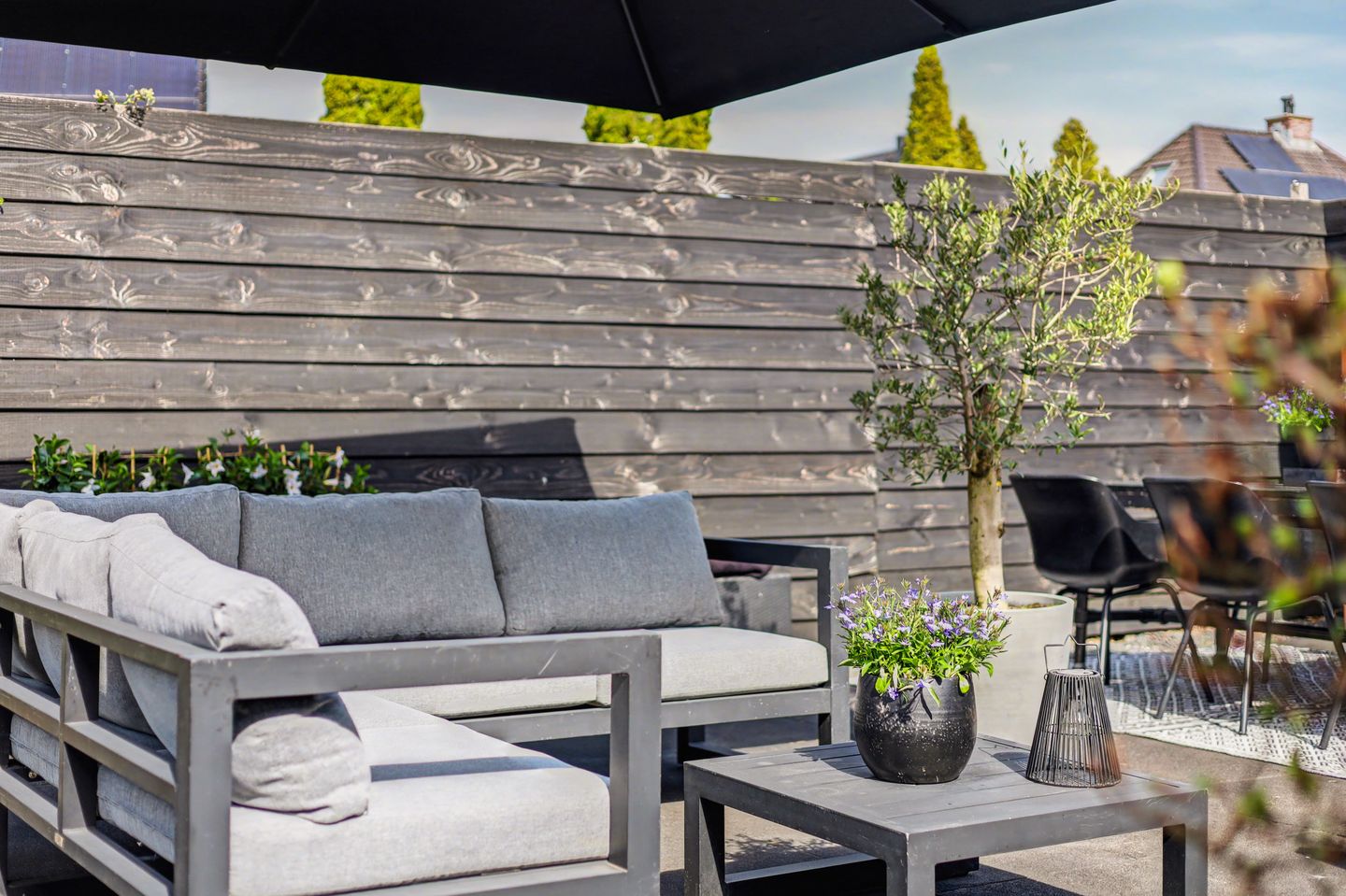 Foto 44 van Meerkoet 19