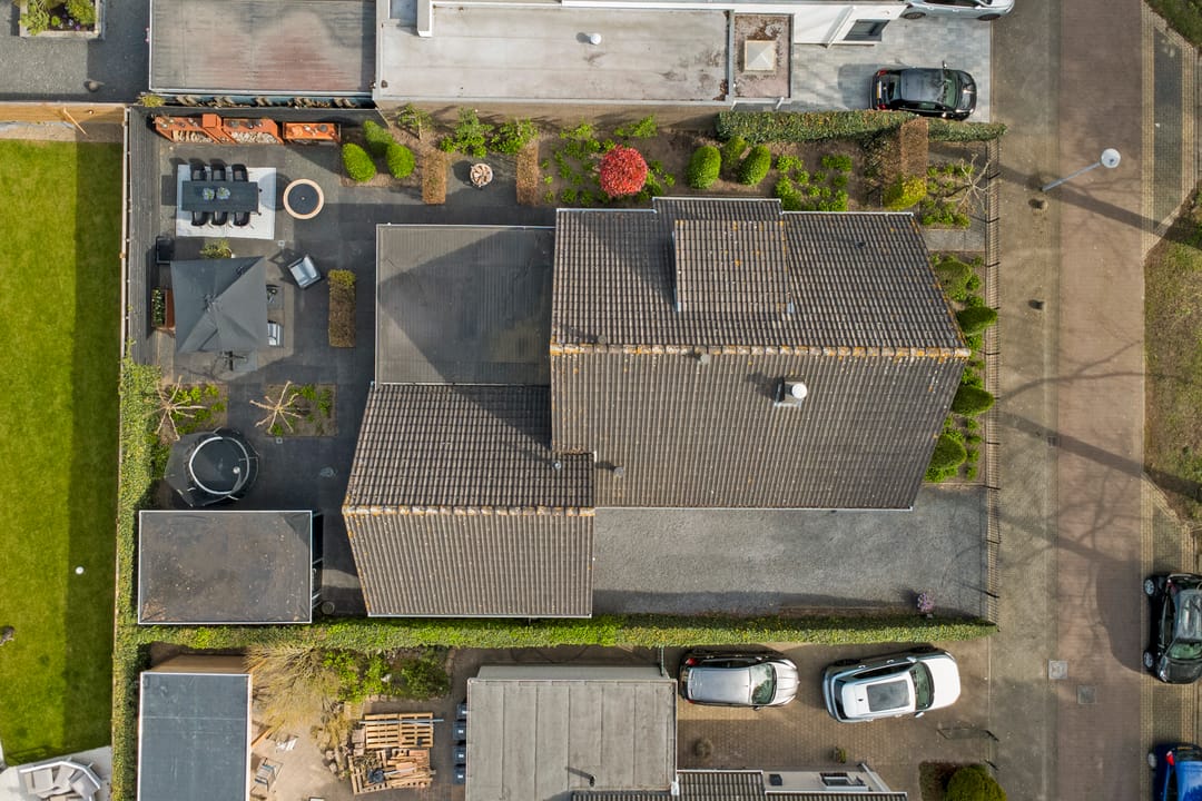 Foto 47 van Meerkoet 19