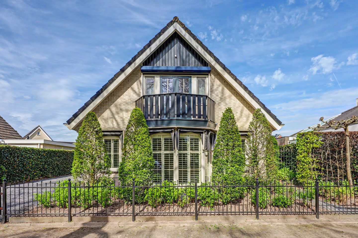 Foto 50 van Meerkoet 19