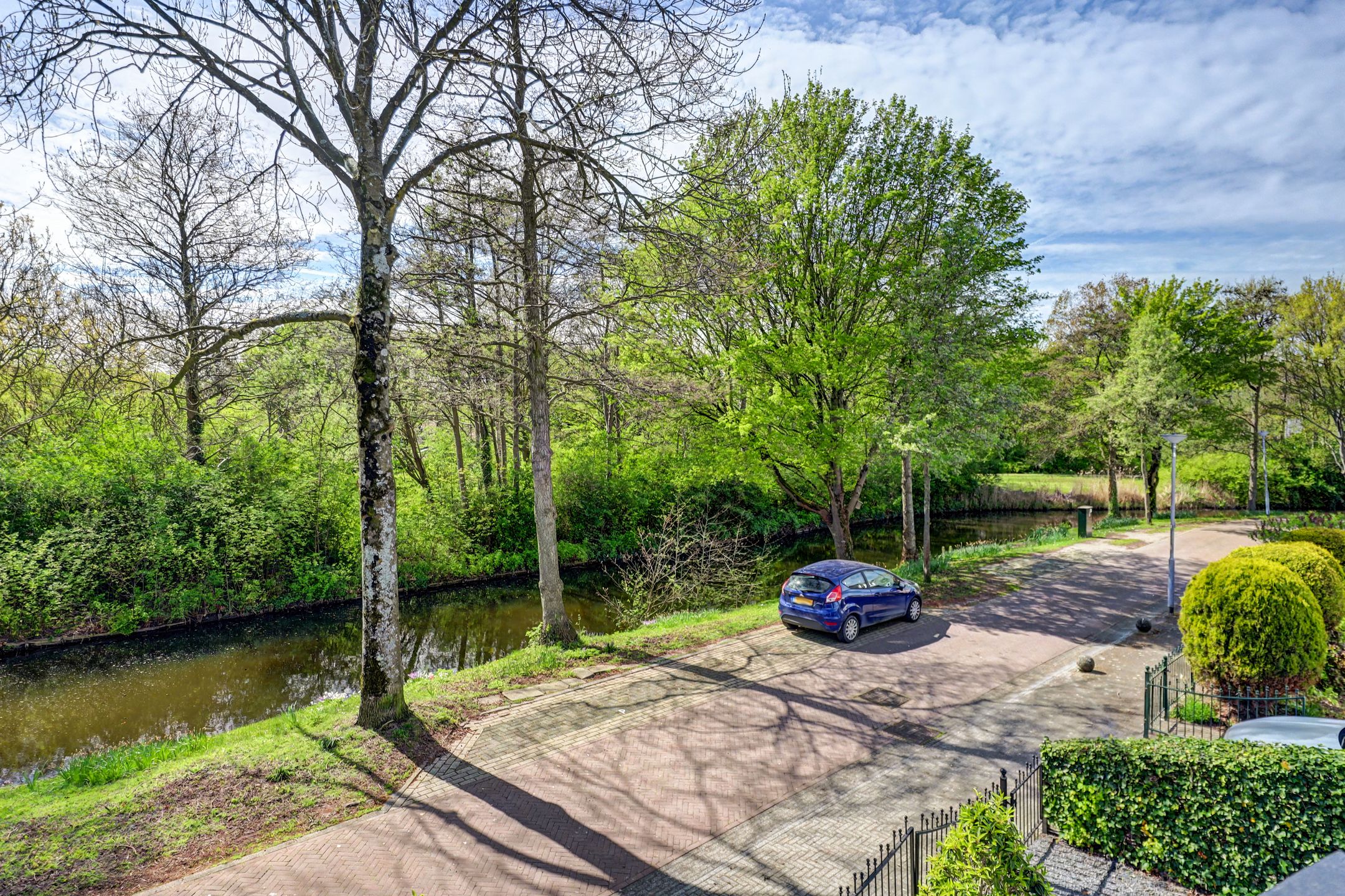 Foto 45 van Meerkoet 19