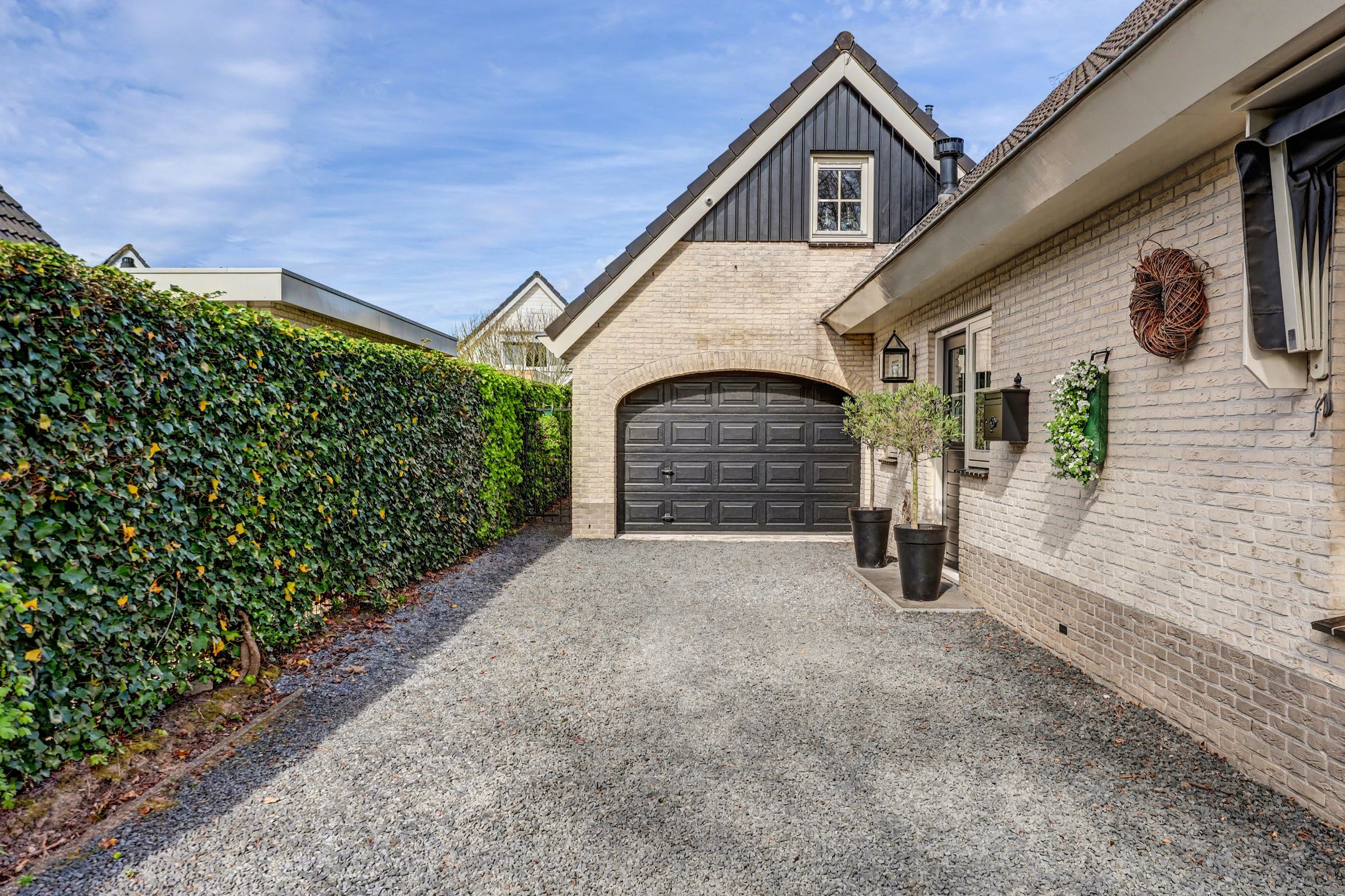 Foto 51 van Meerkoet 19