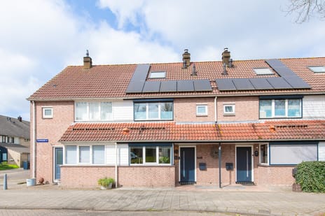 undefined main image