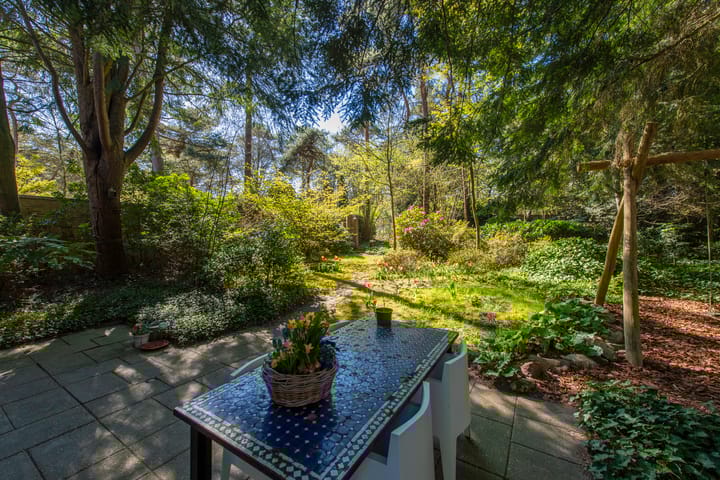 Foto 4 van Langendijk 8