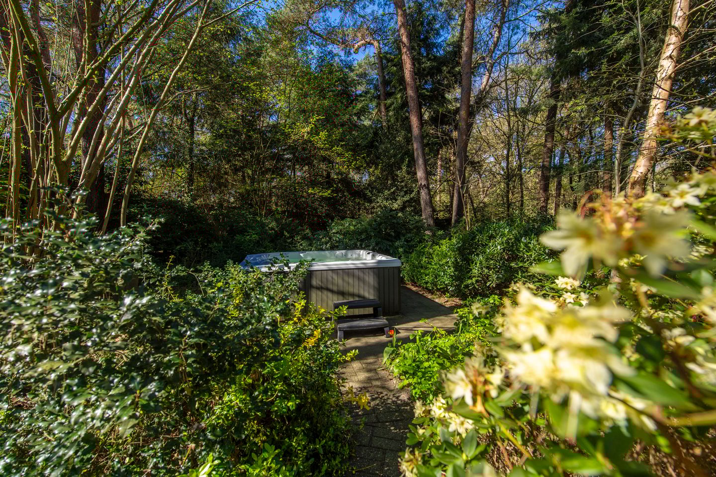 Foto 29 van Langendijk 8