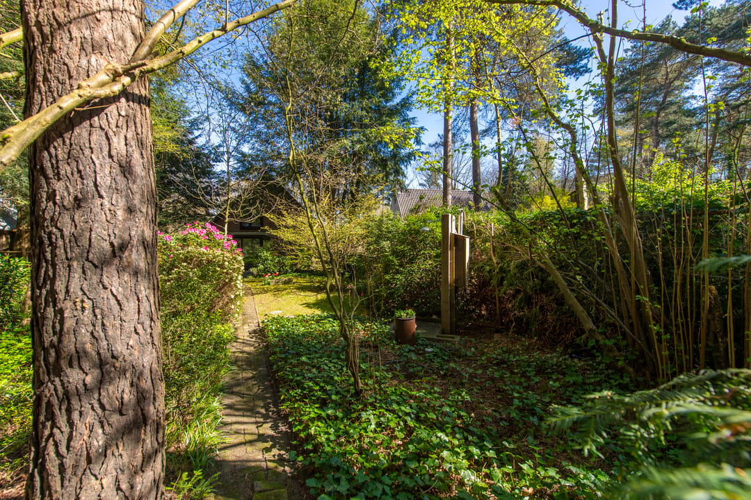 Foto 31 van Langendijk 8