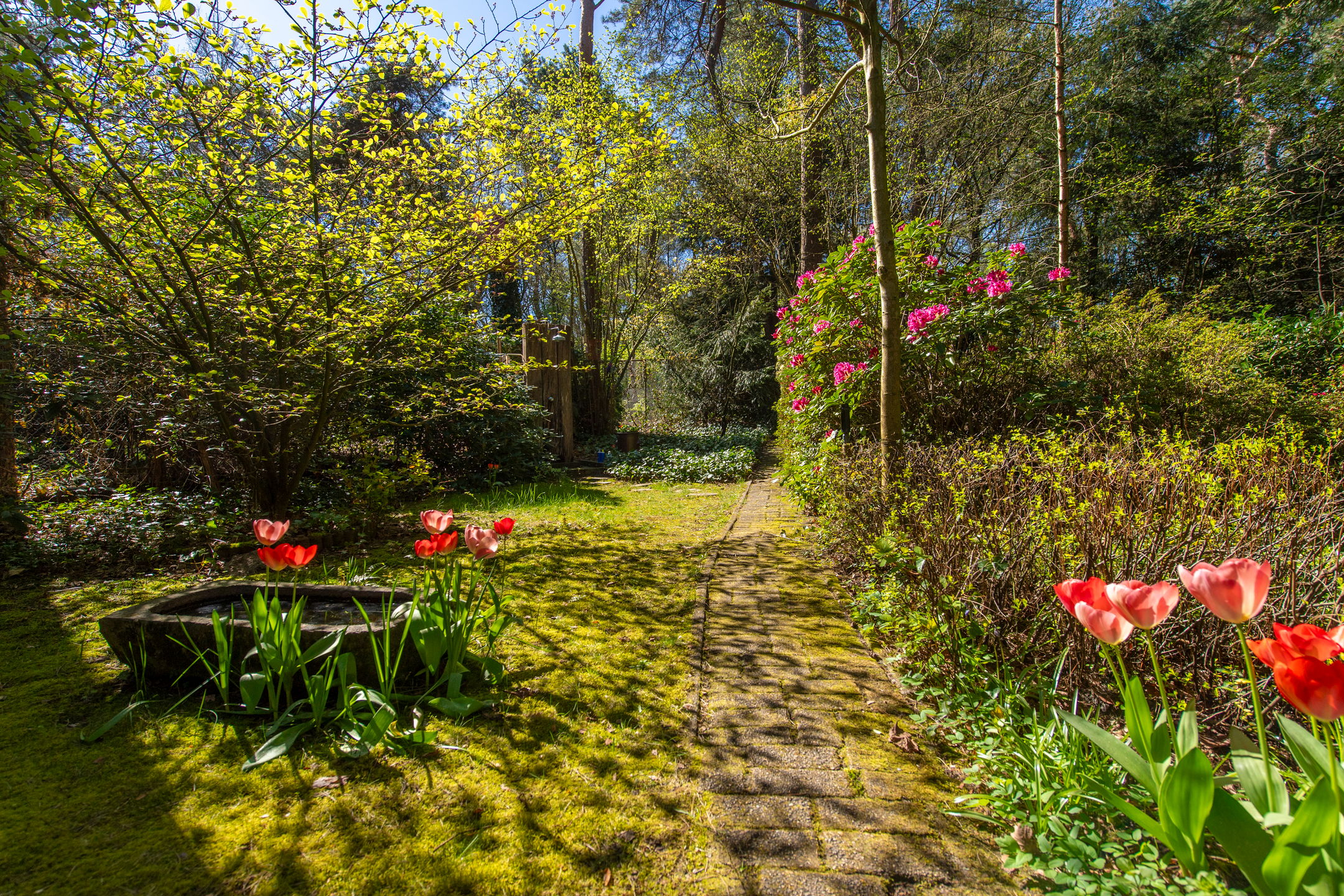 Foto 33 van Langendijk 8