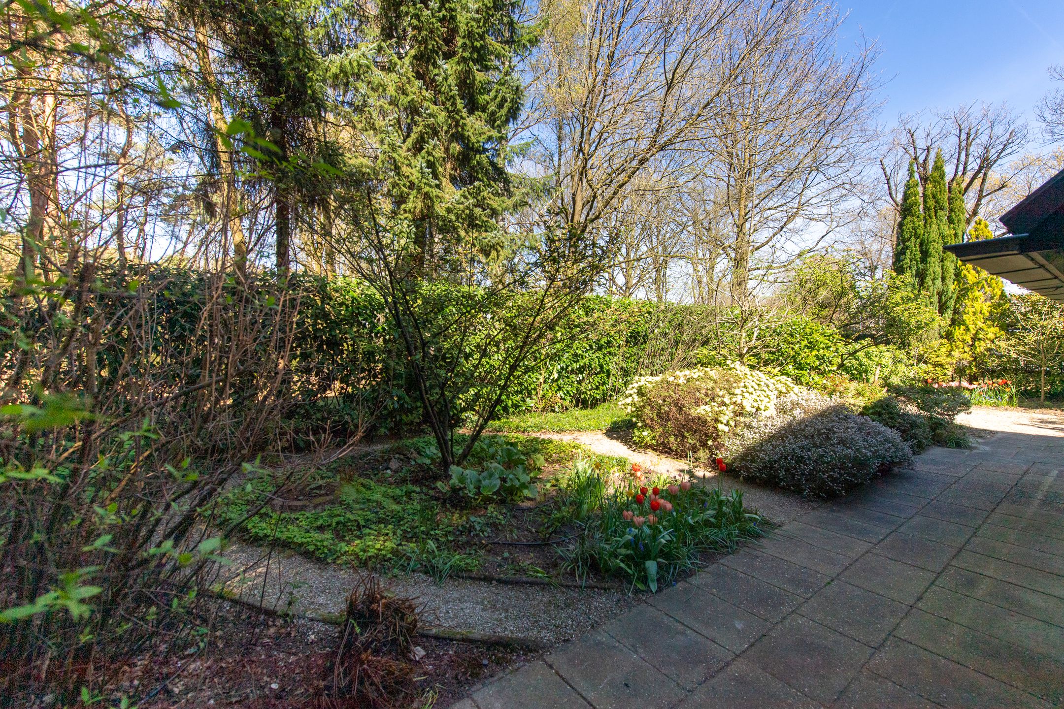 Foto 36 van Langendijk 8