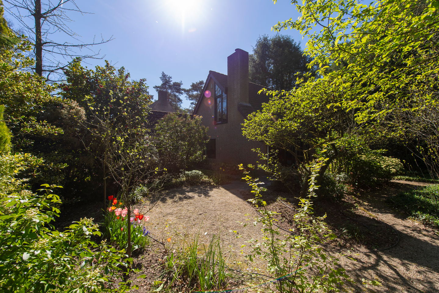 Foto 35 van Langendijk 8