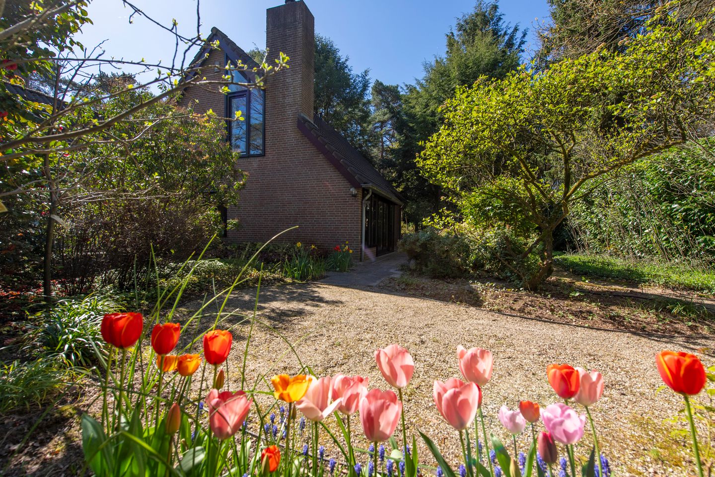 Foto 34 van Langendijk 8