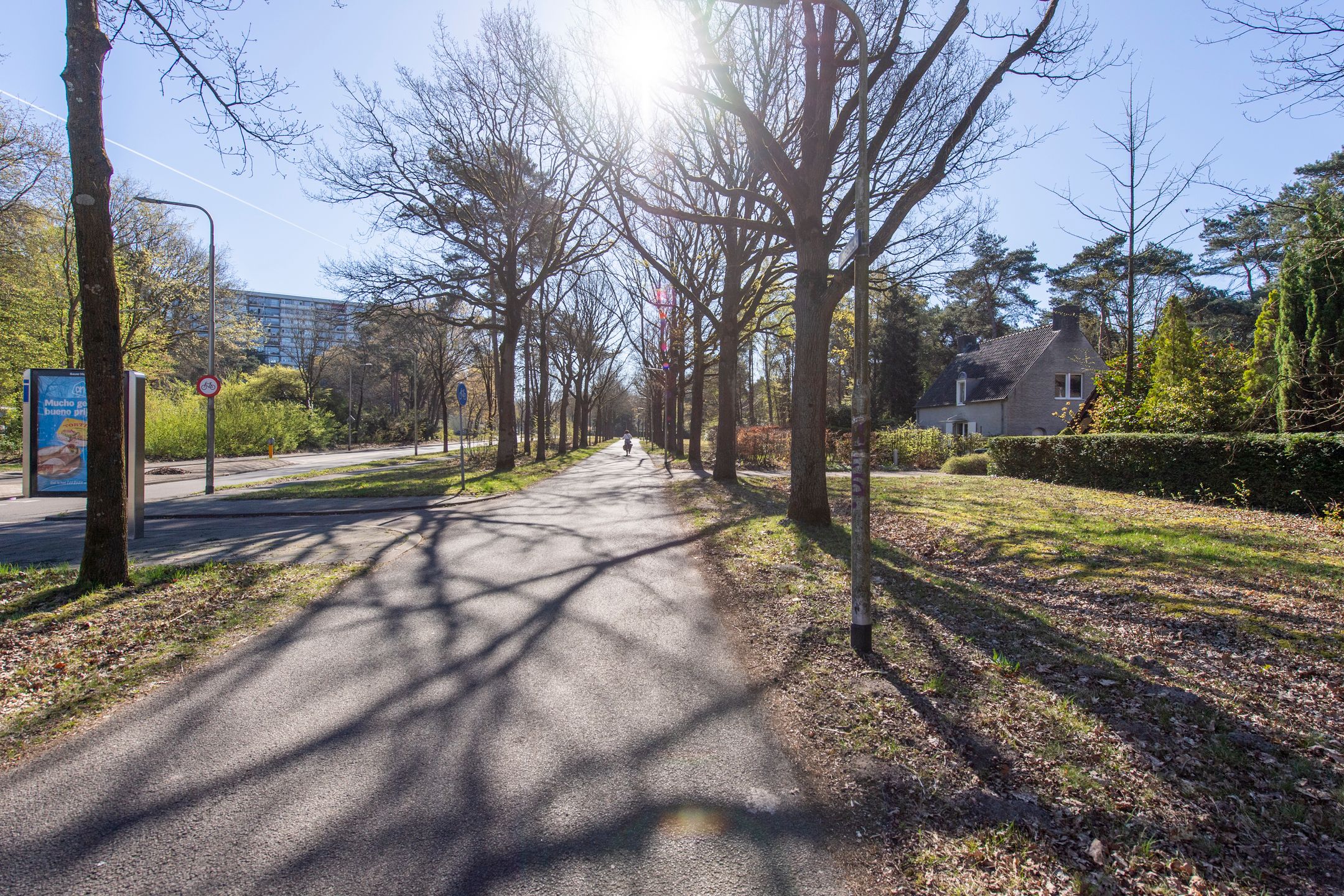 Foto 39 van Langendijk 8