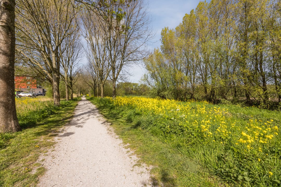 Foto 41 van Kalixfors 9