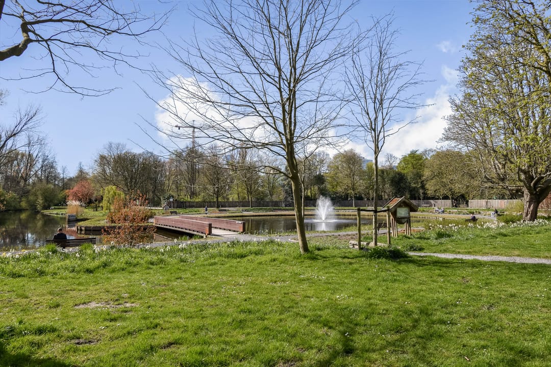 Foto 31 van Minervaplein 34-4