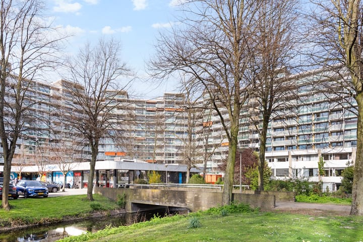 Forellendaal 602 main image