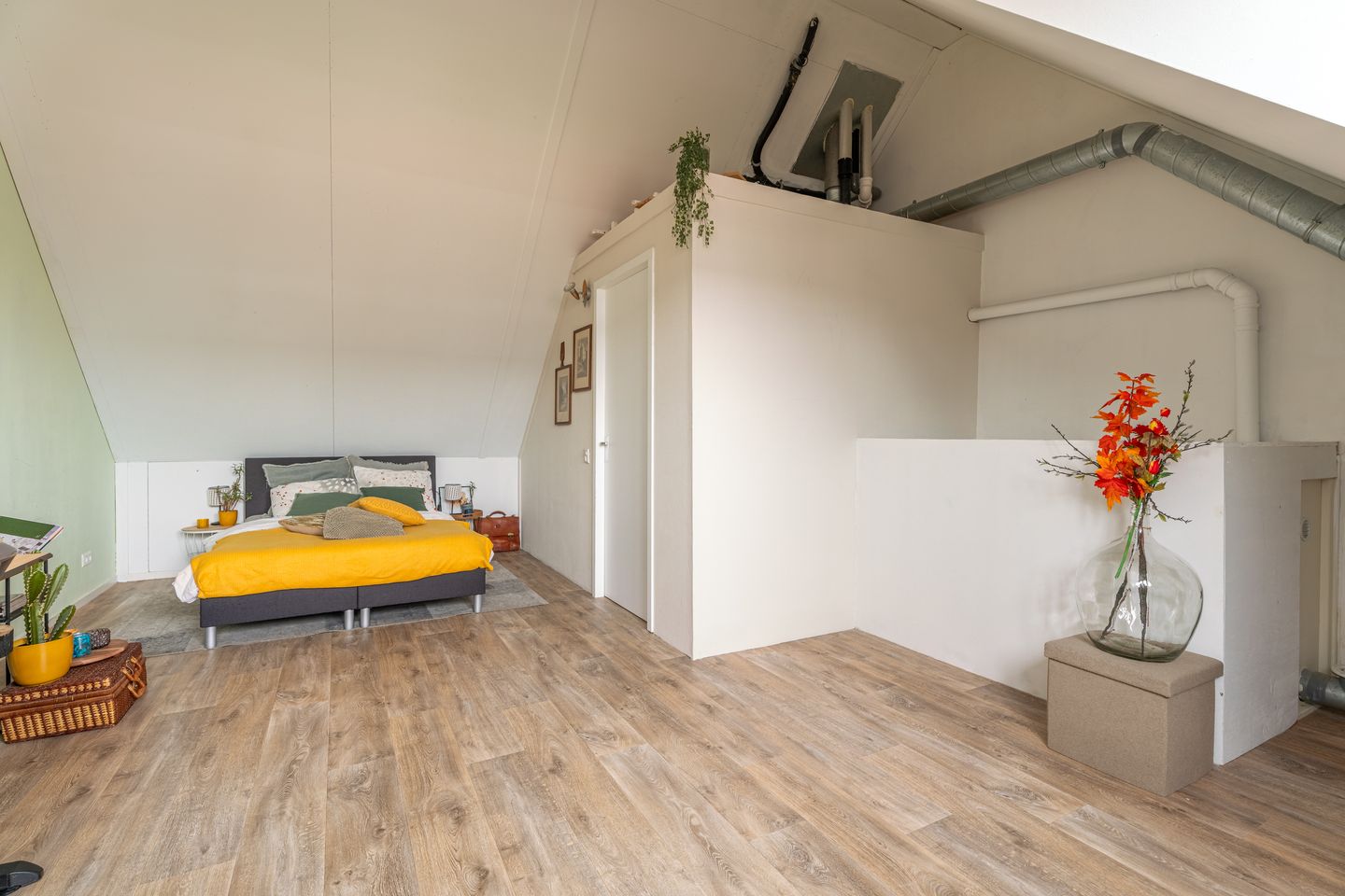 Foto 20 van Buxushaag 13