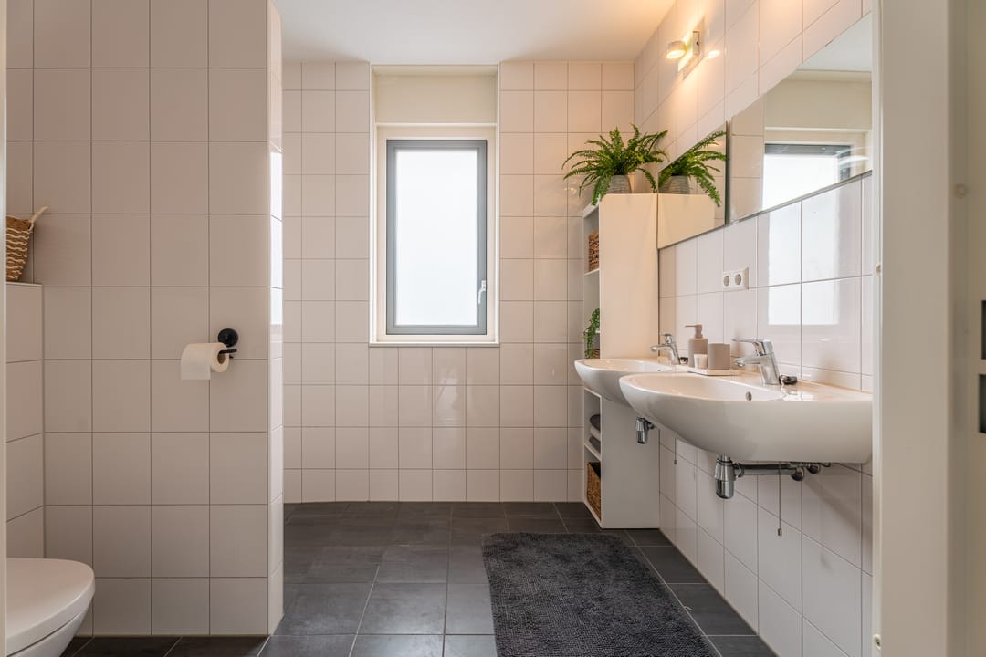 Foto 16 van Buxushaag 13