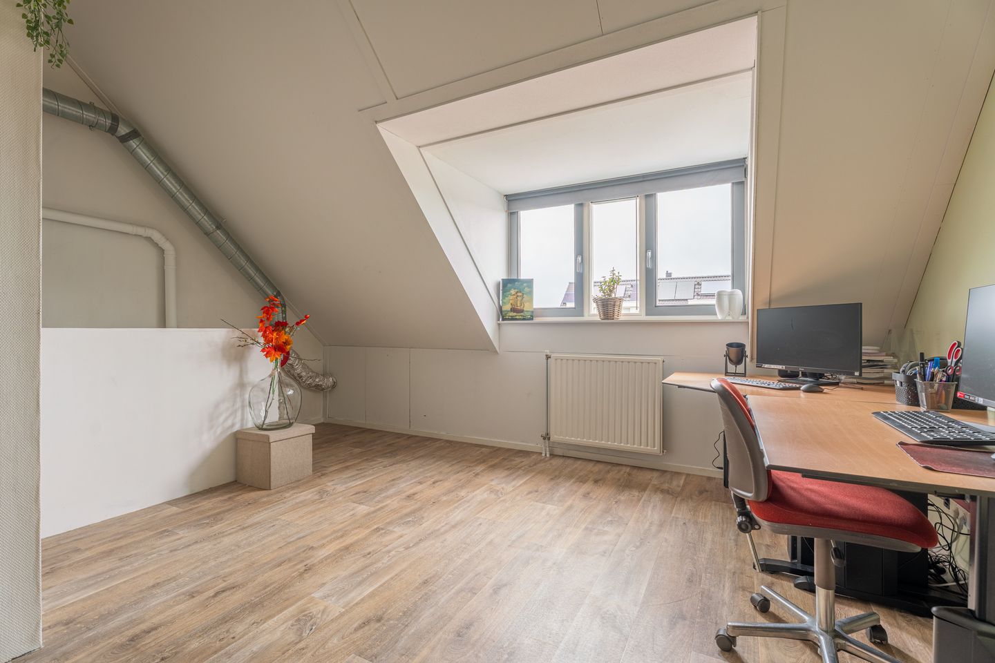 Foto 19 van Buxushaag 13