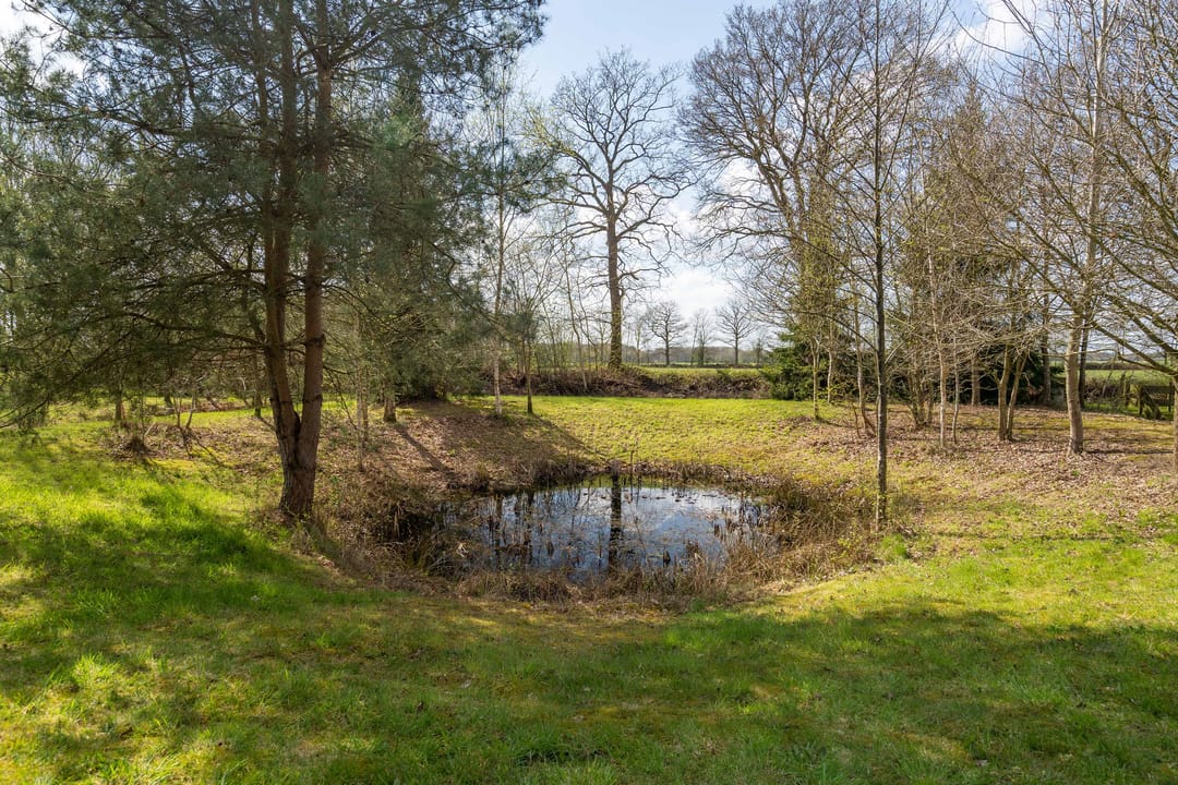 Foto 32 van Sprakelingen 17