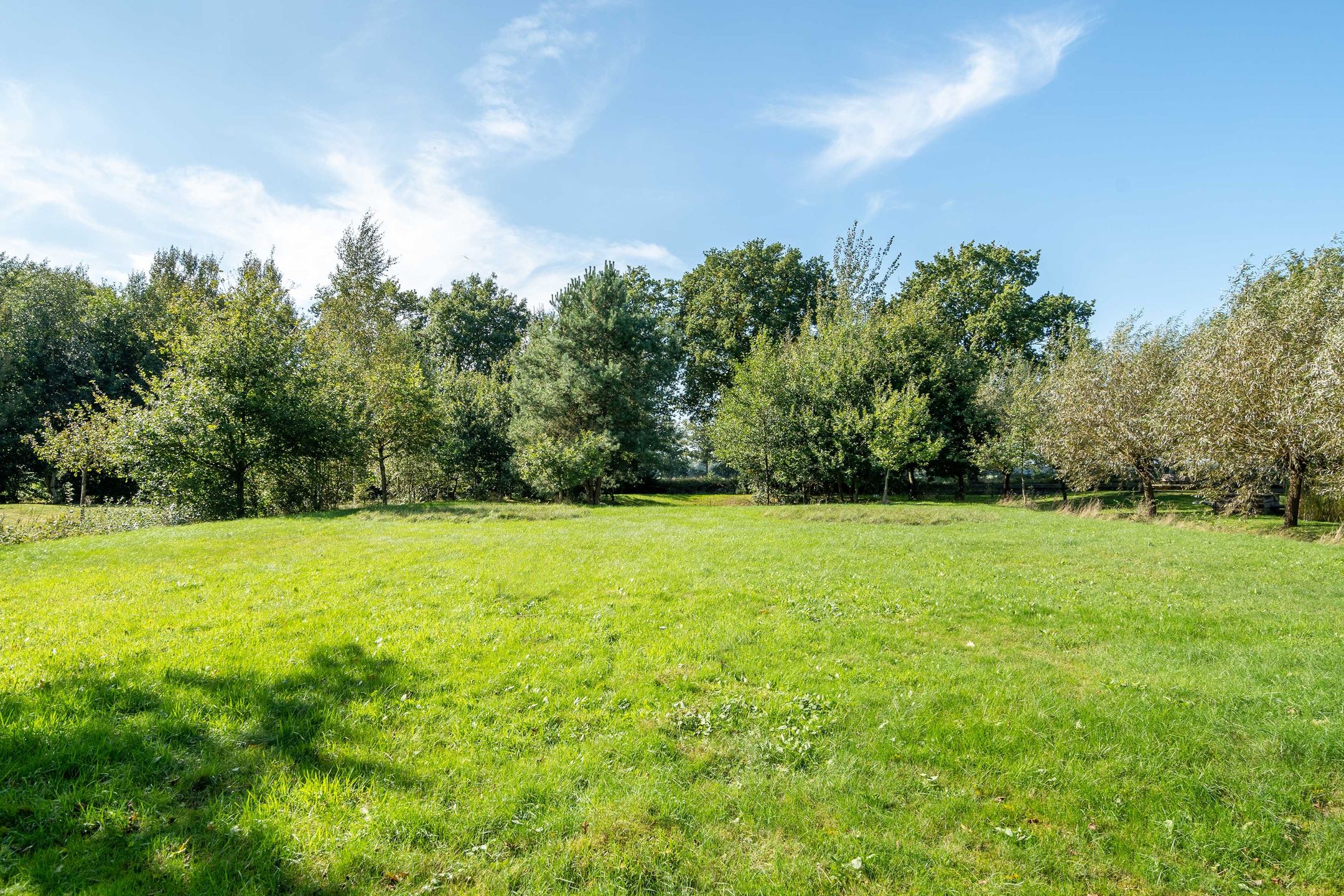 Foto 33 van Sprakelingen 17