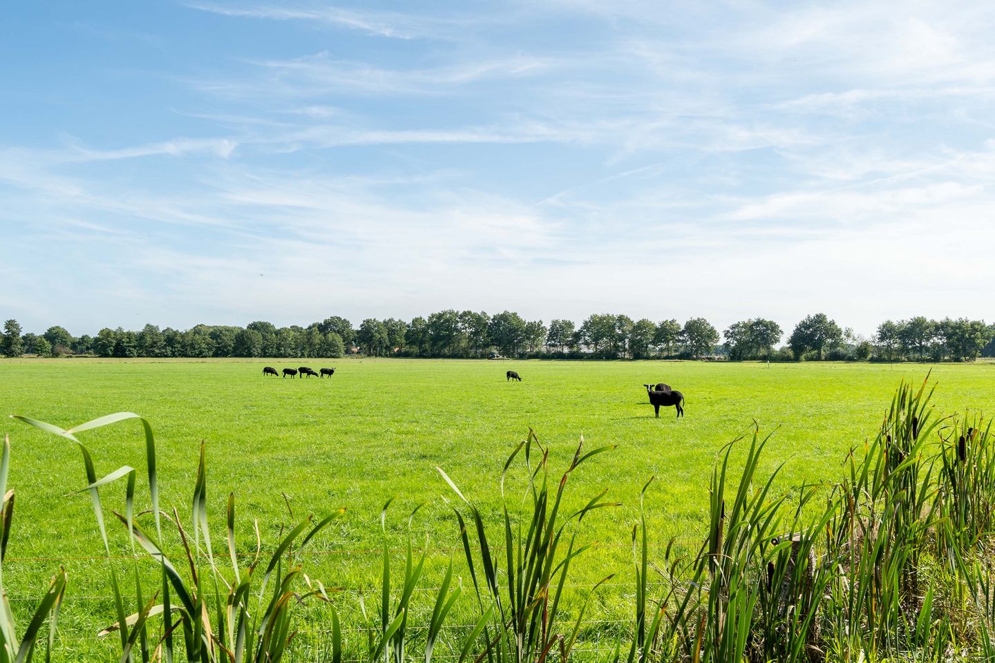 Foto 34 van Sprakelingen 17