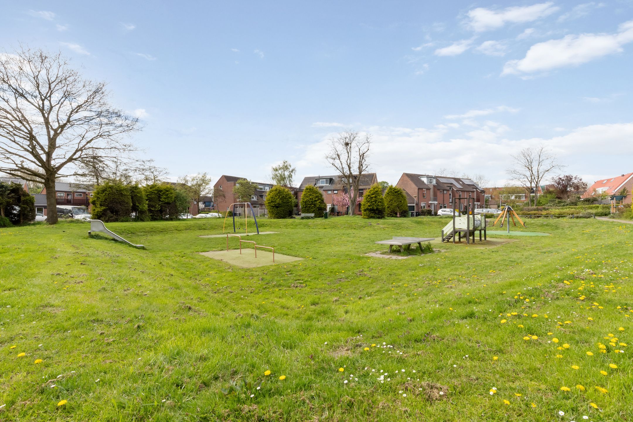 Foto 15 van Waterhoen 8