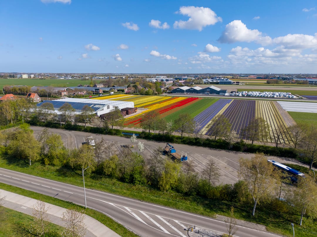 Foto 31 van Buxushaag 13