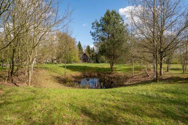 Photo 5 of Sprakelingen 17