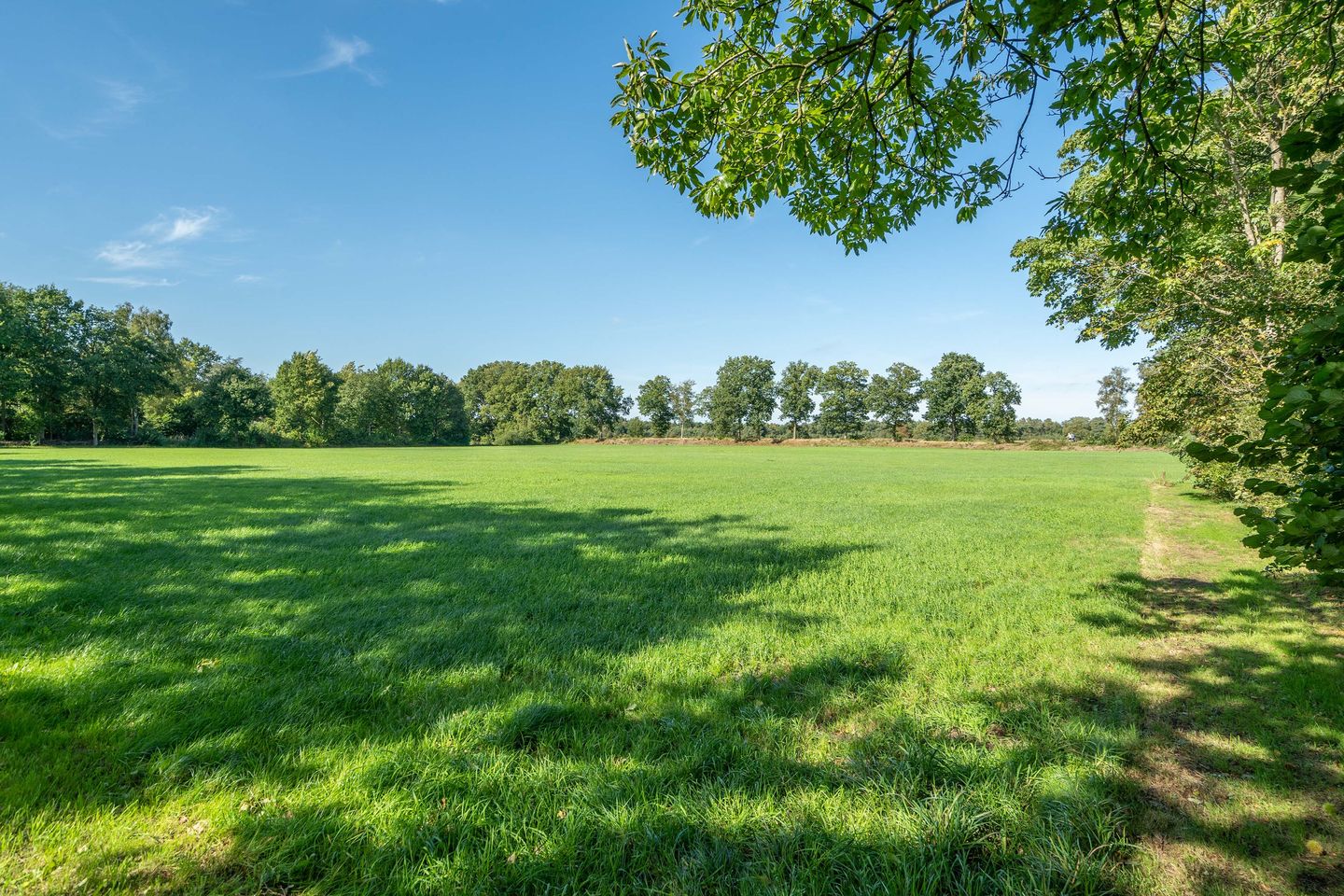 Foto 35 van Sprakelingen 17