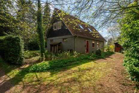 Sprakelingen thumbnail