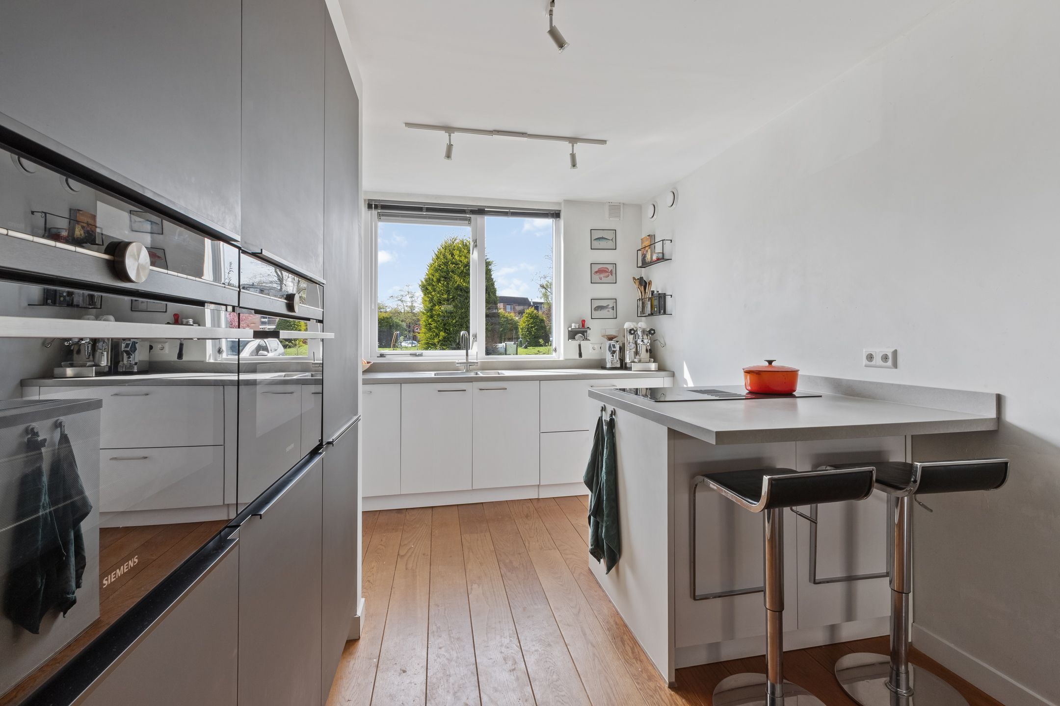 Foto 12 van Waterhoen 8